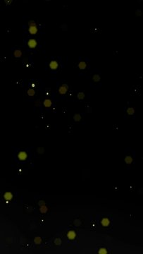 火の粉　火の塵　光の塵　アニメーション 縦型 1