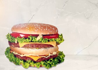 Tasty fresh burger with meat and vegetables