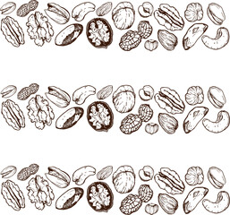 Vector line art big border composition of mix nuts. Hand painted pistachio, walnut, hazelnut and almond on white background. Tasty food illustration for design, print, fabric or background.