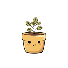 Cute plants in pots