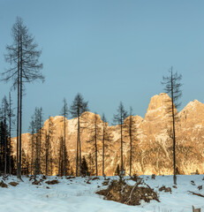 Dolomites, Italy - Panorama of Pale di San Martino in late afternoon light in winter - 712453575