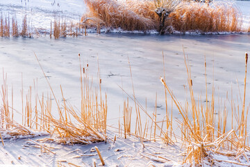 Winter in park, snow fairy tail