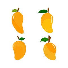 Mango fruit vector icon. Mango in flat style. Vector illustration of tropical fruit. Illustration vector graphic of mango. Good for food and drinks