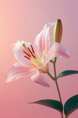 Obraz na płótnie Canvas Pink lily flower soft elegant vertical background, card template