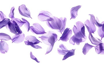 Fotobehang some flower lavender petals flew isolated on white background © masud