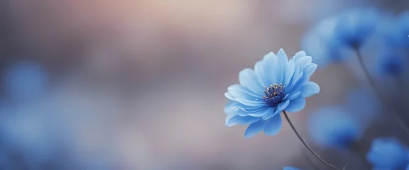 Poster Blue beautiful flower on a beautiful toned blurred background, border. Delicate floral background © Adi