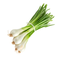 spring onions on transparent background; - obrazy, fototapety, plakaty