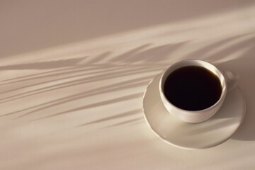 Cup and saucer with shadows of tropical leaves in the morning sunlight.