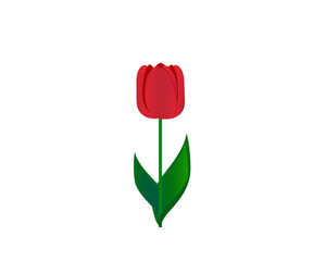 flat icon on white background tulip blooms . 8 March . Women's spring day - 712476348
