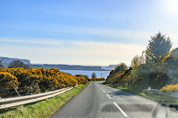 A Serene Journey Through Scotland’s Majestic Highlands