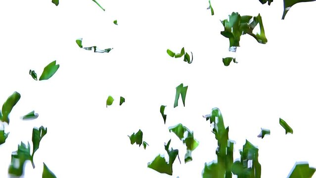 Chopped parsley herbs are falling on the white background in slow motion