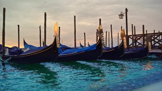 The metal prows of the gondolas reflect the soft yellow sunrise in Venice and bob on the azure water