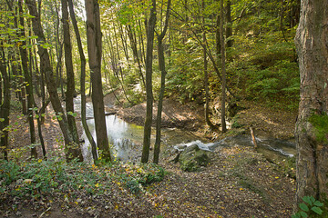forest stream with a waterfall in an autumn forest