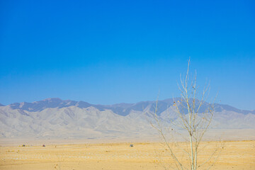 Baiyin City, Gansu Province - Wind turbines and Gobi scenery