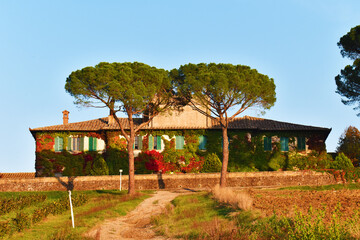 Rampicanti, villa toscana