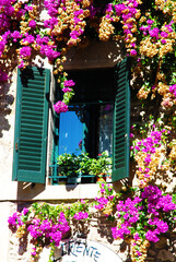 Finestra e fiori, Sirmione, Lago di Garda