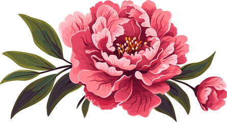 Peony flower icon. Peonies on transparent background. Watercolor pink peony flowers. Peony flowers with leaves . Hand drawn botanical floral decoration