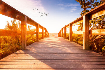 Boardwalk to the beach on Sanibel Island, Florida USA - 712503568