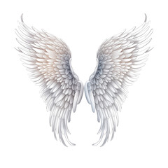  Transparent Drawing of V-Shaped Wings AI-Generated