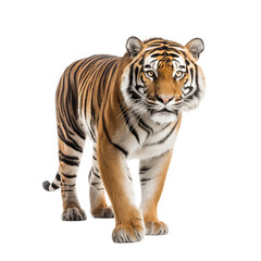  Realistic Picture Bangli Tiger AI-Generated
