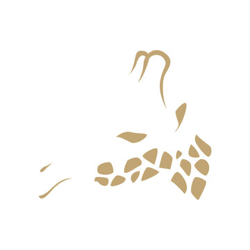 giraffe head icon logo vector