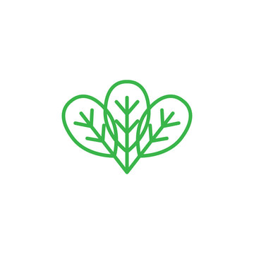 spinach leaf line icon logo vector