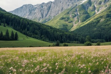 Fototapeta na wymiar Mountain meadow under a summer sky with green grass, trees, and a view of the alpine landscape, featuring clouds over the majestic peaks