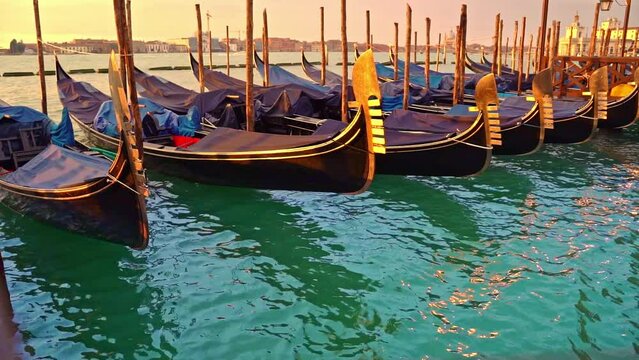 The metal prows of the gondolas reflect the soft yellow sunrise in Venice and bob on the azure water