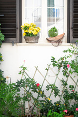 View of a flower pot with yellow flowers outside a window