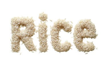 The word Rice composed of rice grains isolated on a transparent background 