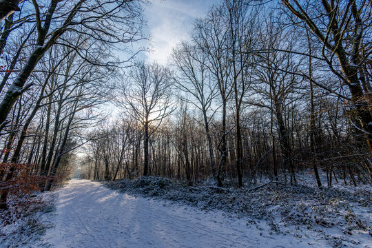 Chemin forestier couvert de neige un matin d'hiver froid et ensoleill&eacute;, dans le bois de Clamart, France