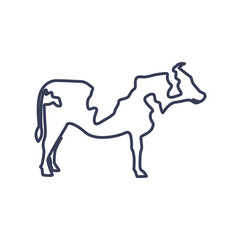 cow lines icon logo vector