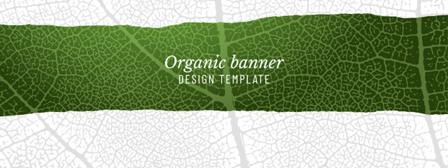 Horizontal banner with leaf texture. Natural textured template. Torn outline shape. Editable color. Vector