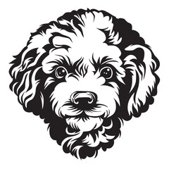 Poodle Face, Poodle vector, Poodle Black and white, Poodle illustration, Cute Poodle, Poodle Lover, pet, dog face, dog, animal