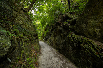 Obraz premium Hualien Taroko Shakadang hiking trail