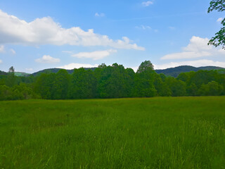A mountain clearing against the background of the Beskid Niski mountains - obrazy, fototapety, plakaty