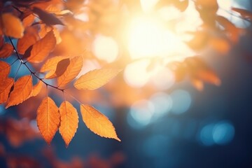 Autumn dry leaves in sunlight with blue background