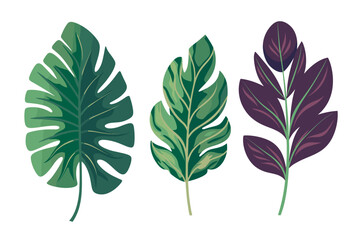 Tropical leaves collection. Vector isolated elements on the white background. - obrazy, fototapety, plakaty