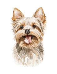 Watercolor portrait of smiling yorkshire terrier dog puppy character isolated on white background. Hand drawn illustration sketch