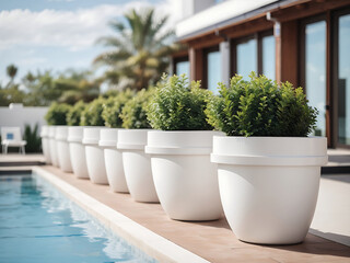 Fototapeta premium A row of white planters is sitting next to a swimming pool design.