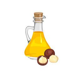 Macadamia oil in glass bottle isolated on white. Vector cartoon food illustration. 