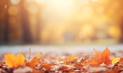 Naklejka na ściany i meble Autumn leaves in the sunlight. Blurred background