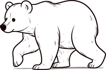polar bear illustration
