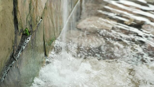 Detalle del chorro de agua de una fuente natura.