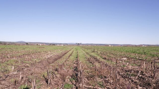 Detalle de un drone de agricultura fumigando un campo de cultivo.