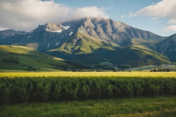 Fototapeta premium Floral Summer Mountain View with Green Meadows and Blue Sky