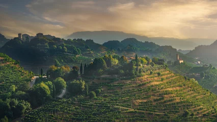 Fotobehang Prosecco Hills, vineyards, San Lorenzo church and Credazzo Towers. Unesco Site. Veneto, Italy © stevanzz