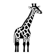 Obraz premium giraffe isolated on white