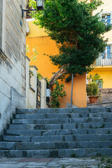 A narrow street in Croatia with stone steps and a tree among brightly colored houses