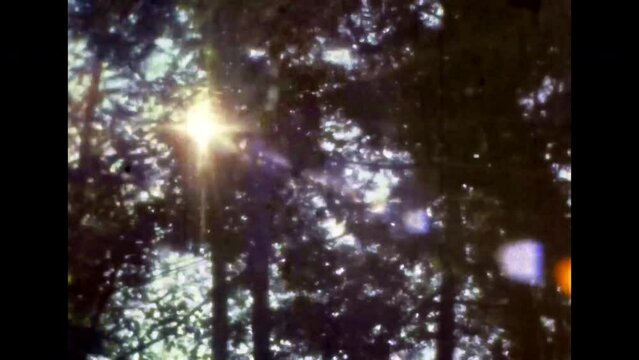 Green trees on blue sky background in sunny summer. Beautiful bright sunlight ray breaking through trees leaves in forest. Sun light flicker in park nature. Vintage color film. Retro archive 1980s. 4k